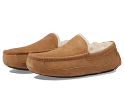 UGG Ascot — cor Marrom